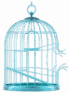 The Uncaged Parent